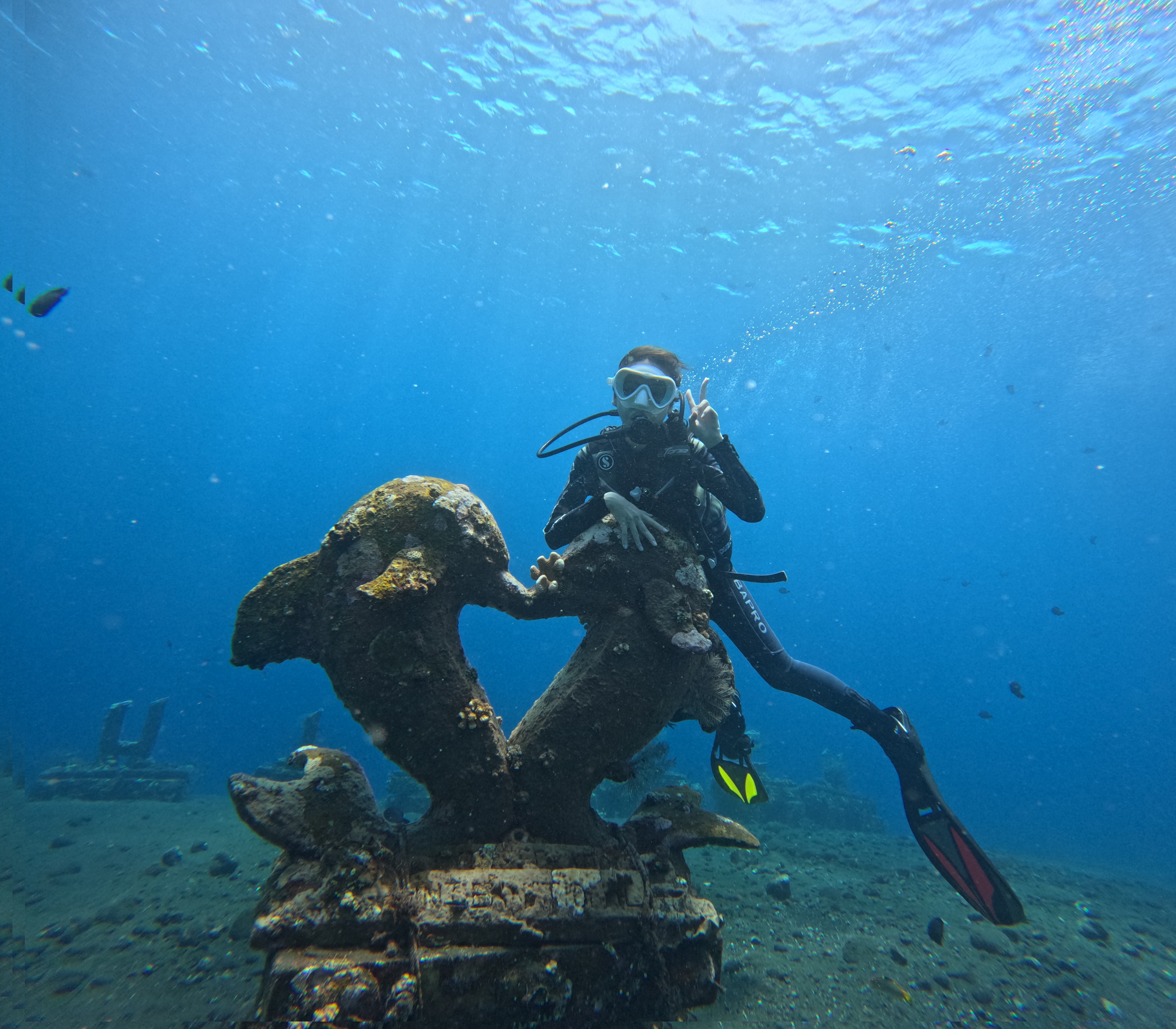 Coral Garden dive site, Tulamben Bali