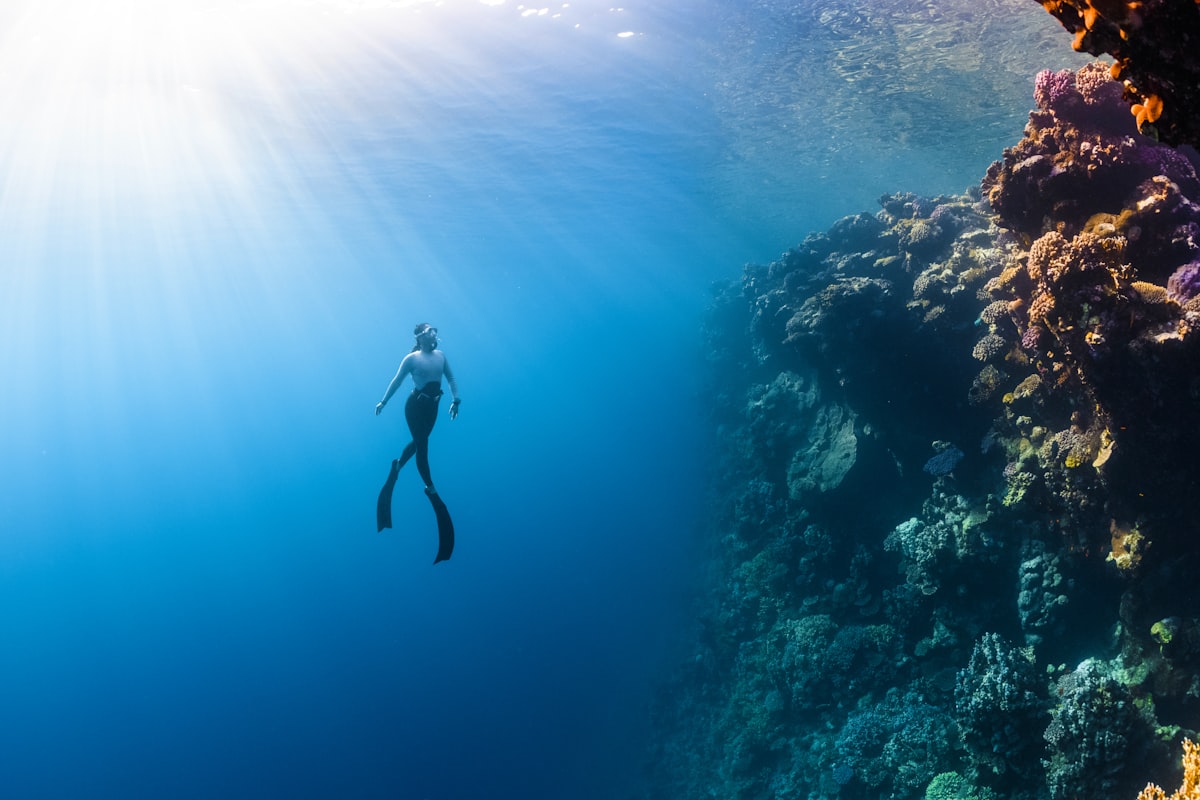 Tulamben Drop Off wall dive, Bali